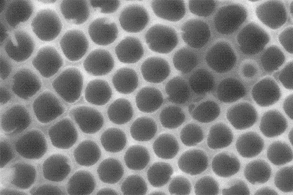 我司參與“高性能凹凸棒石/二氧化鈦複合材料的製備、功能化與應 用技術”項目